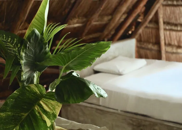 Aparthotel Tuup Jungle