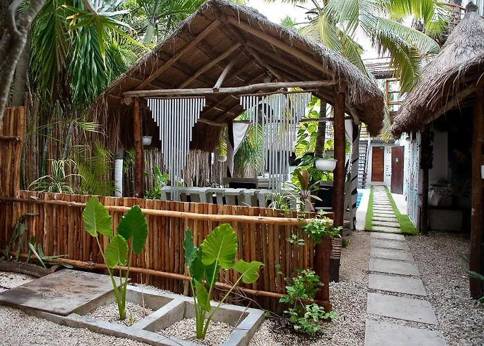 Tuup Jungle
