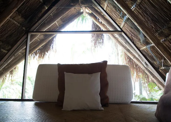 Tuup Jungle Aparthotel
